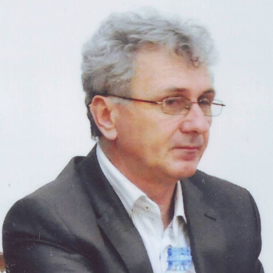 Prof. Dr. Dragiša Stanujkić